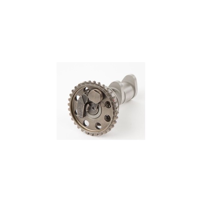 ARBOL DE LEVAS ESCAPE HOT CAMS WR450F-03/15