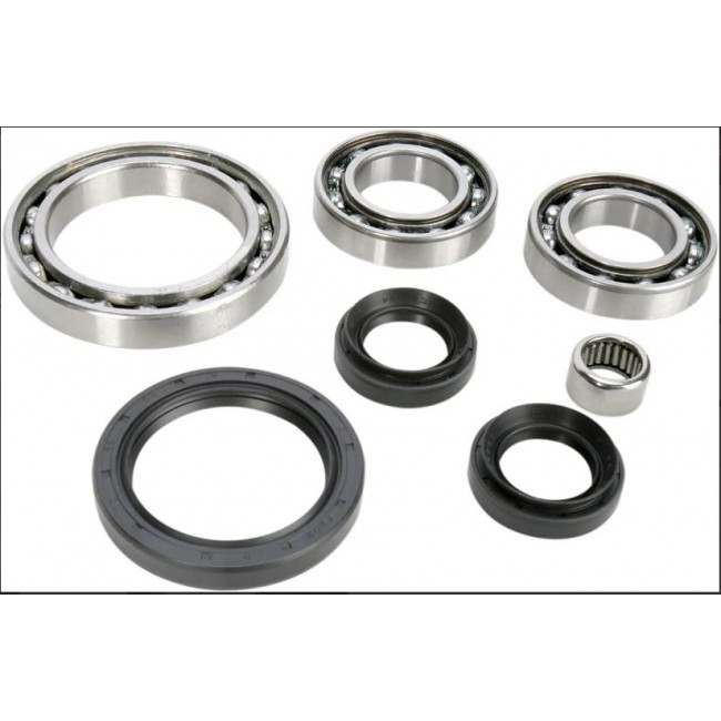 KIT RODAMIENTO Y RETENES DIFERENCIALTRASERO YAMAHA YFM550 GRIZLY 09-14