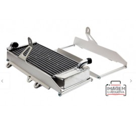 PROTECTOR DE RADIADOR TE/TC...