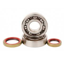 RODAMIENTOS DE CIGUEÑAL...