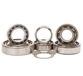 KIT RODAMIENTOS CAJA DE...