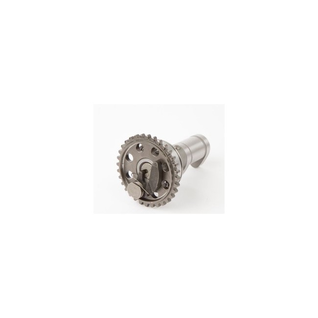 ARBOL DE LEVAS ESCAPE HOT CAMS WR250F-01/13