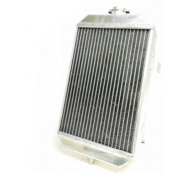 RADIADOR RAPTOR 700 06/12