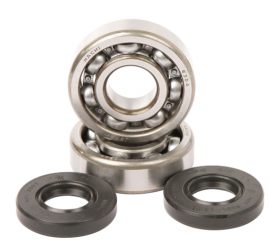 RODAMIENTOS DE CIGUEÑAL CON...