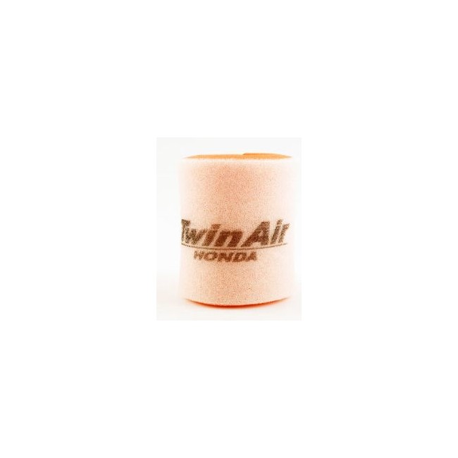 FILTRO DE AIRE TWIN AIR HONDA TRX 90 01-18