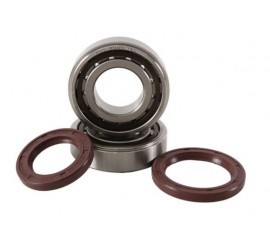 RODAMIENTOS DE CIGUEÑAL CON RETENES EXC-F   250/350   14/24