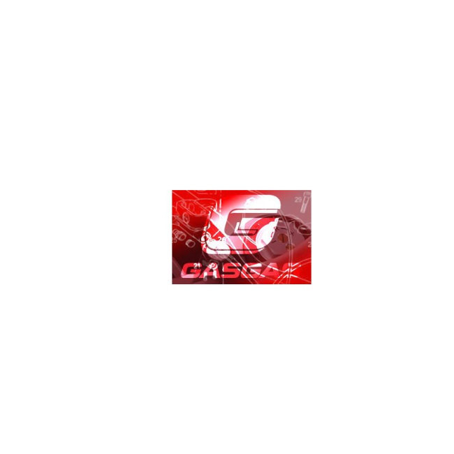 INSTALACION GAS GAS EC 03-05