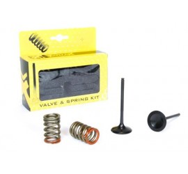 KIT VALVULAS DE ADMISION DE ACERO CON MUELLES KAWASAKI  KXF 250 11/16