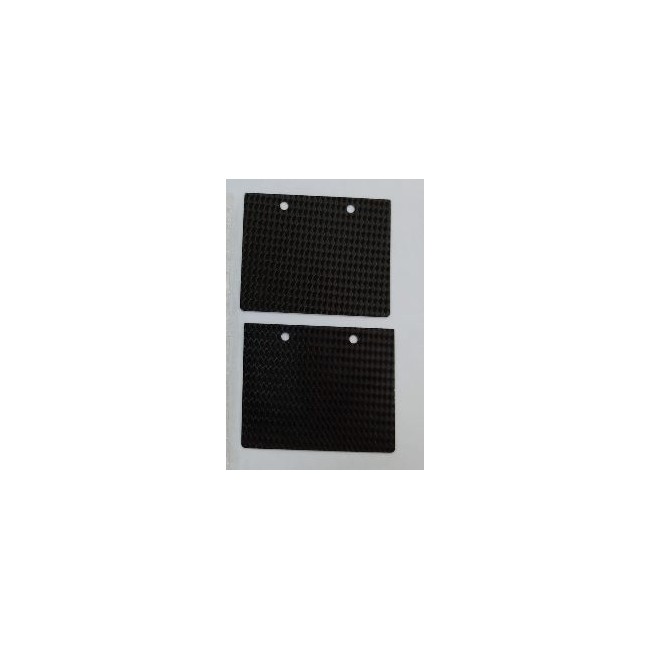 LÁMINAS DE CARBONO PARA GAS GAS EC 125 99/12