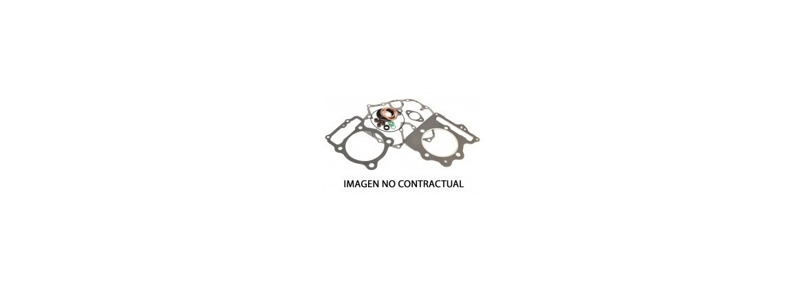MOTOR COMPLETO 2T