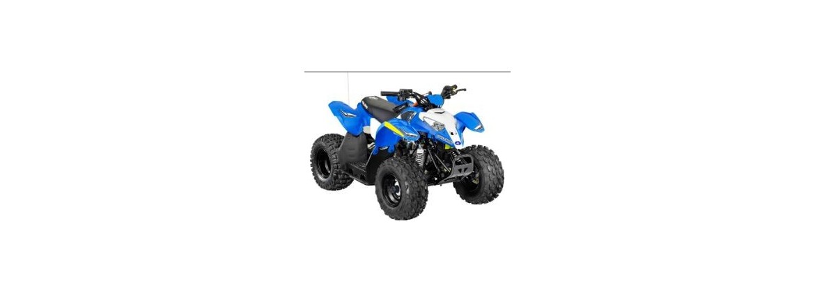 POLARIS